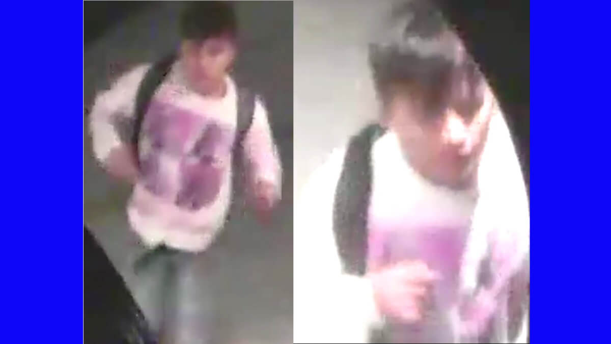 sexual assault 19 pct