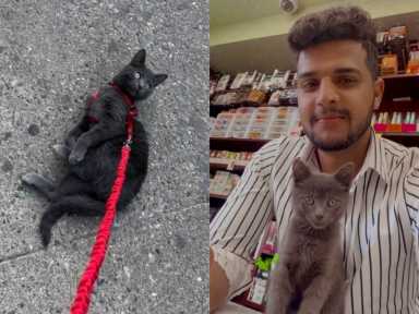 Collage-Maker-07-Aug-2022-02.05-PM-1200×901-1