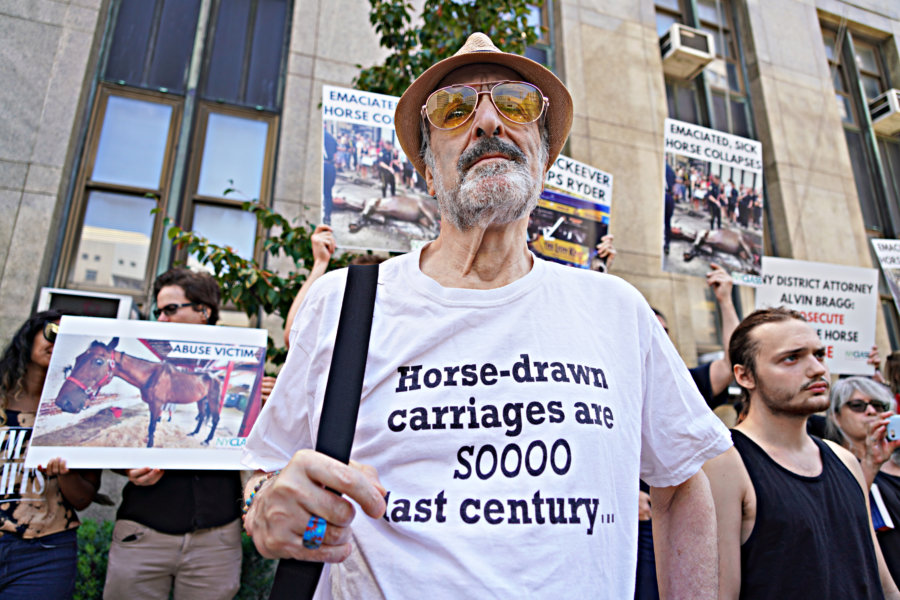 Home free? Animal rights group locates carriage horse Ryder, but says his farm isn’t a sanctuary