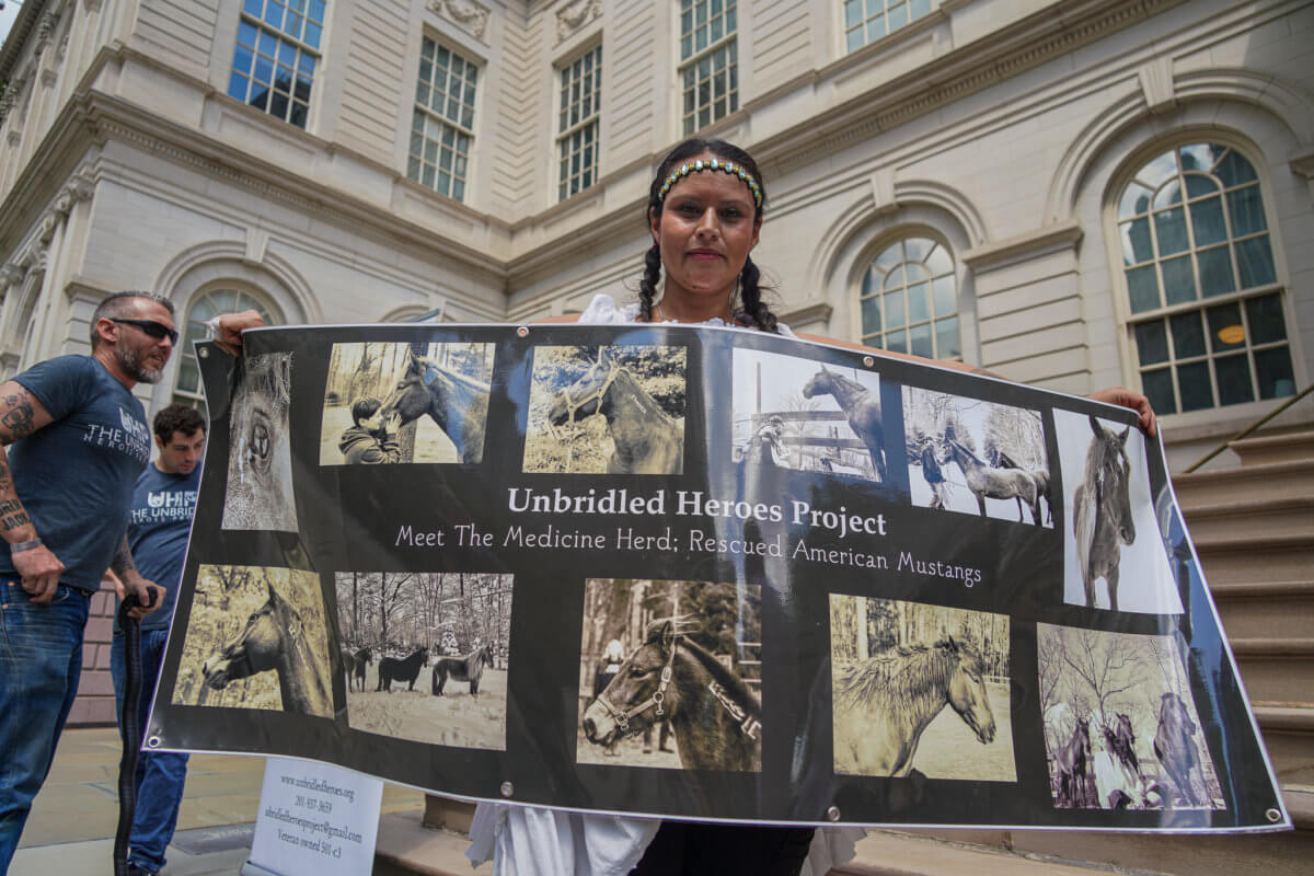 Veterans join battle over NYC carriage horses as pressure mounts on City Hall to outlaw the industry 3