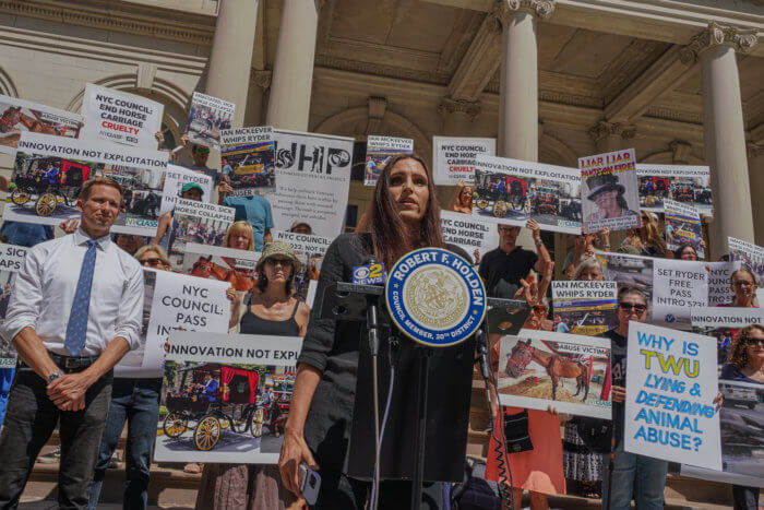 Veterans join battle over NYC carriage horses as pressure mounts on City Hall to outlaw the industry 4