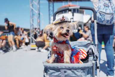 MATT_RITCHIE_PUP_CRUISE_MRP06999