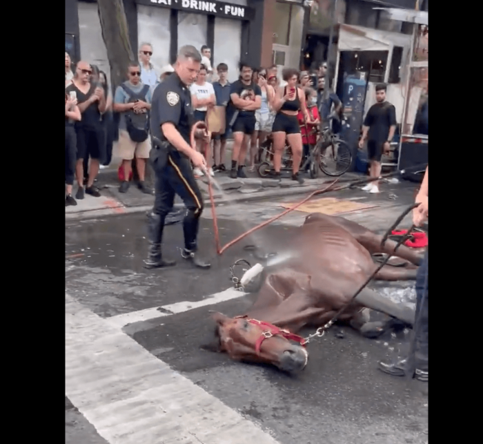 NYPD officers cool down Ryder