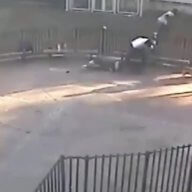 Video shows Queens gunmen executing man