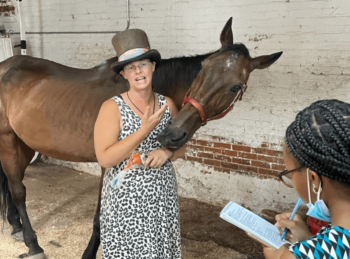 Carriage horse Ryder quietly taken out of NYC for veterinary care, handlers who won’t say where