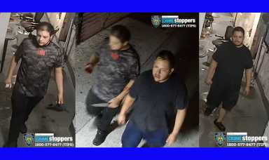 bronx stabbing