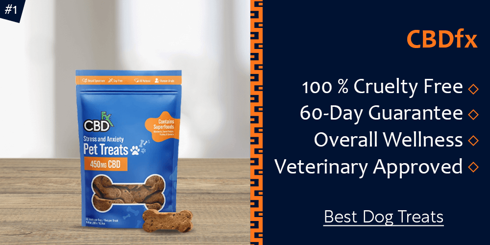 5 Best CBD Dog Treats of 2022 Great Tasting & Relaxing Delights
