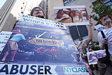 Horse drawn carriages poll