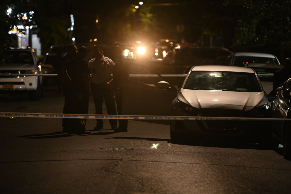 Deadly shootings in Brooklyn precinct