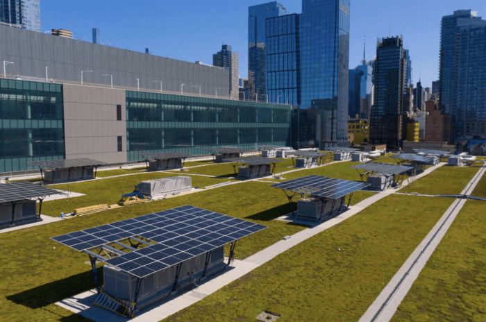 Solar panels on the Javits Center green rooftop.
