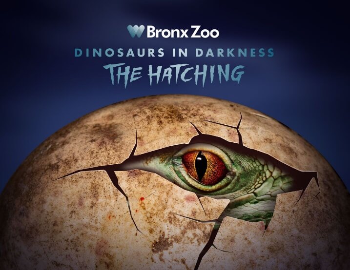 Bronx Zoo to debut new spooky afterhours dinosaur event in October