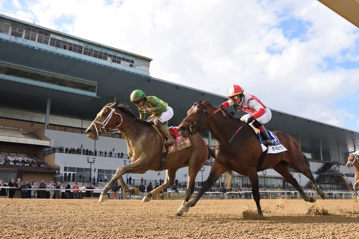 amNY at the Track Yep, Aqueduct is back early with the ‘Belmont at