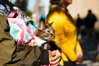 10062022_PF_Blessing_of_the_Animals_01-1200×800-1