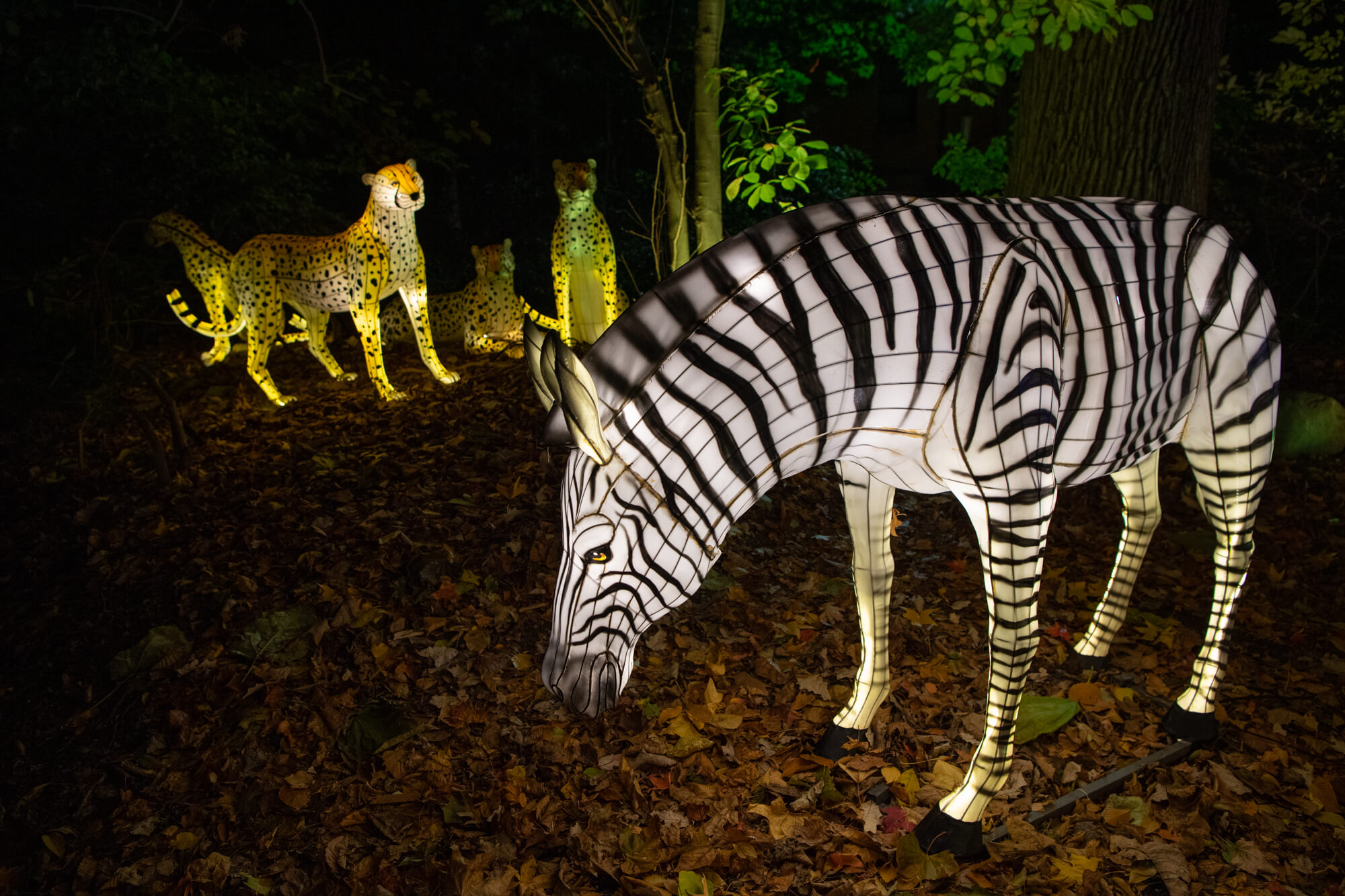 The Bronx Zoo's annual Holiday Lights festival to return