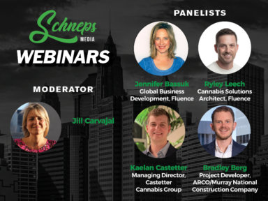 WEBwebinar1