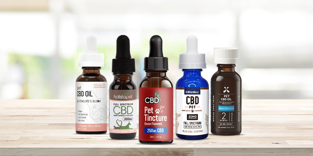 7 Best CBD Oils for Anxiety in 2022 – Relax & Unwind With Natural Anxiety  Remedies | amNewYork