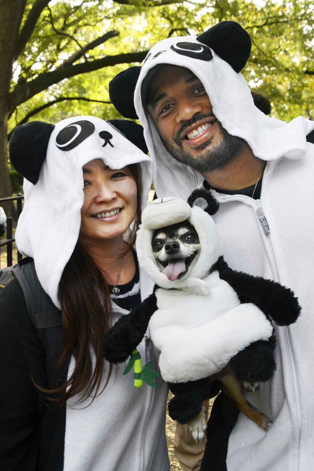 SEE IT Tompkins Square Park Halloween Dog Festival features all kinds