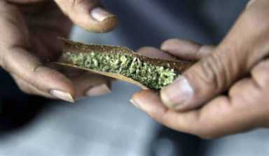 weed