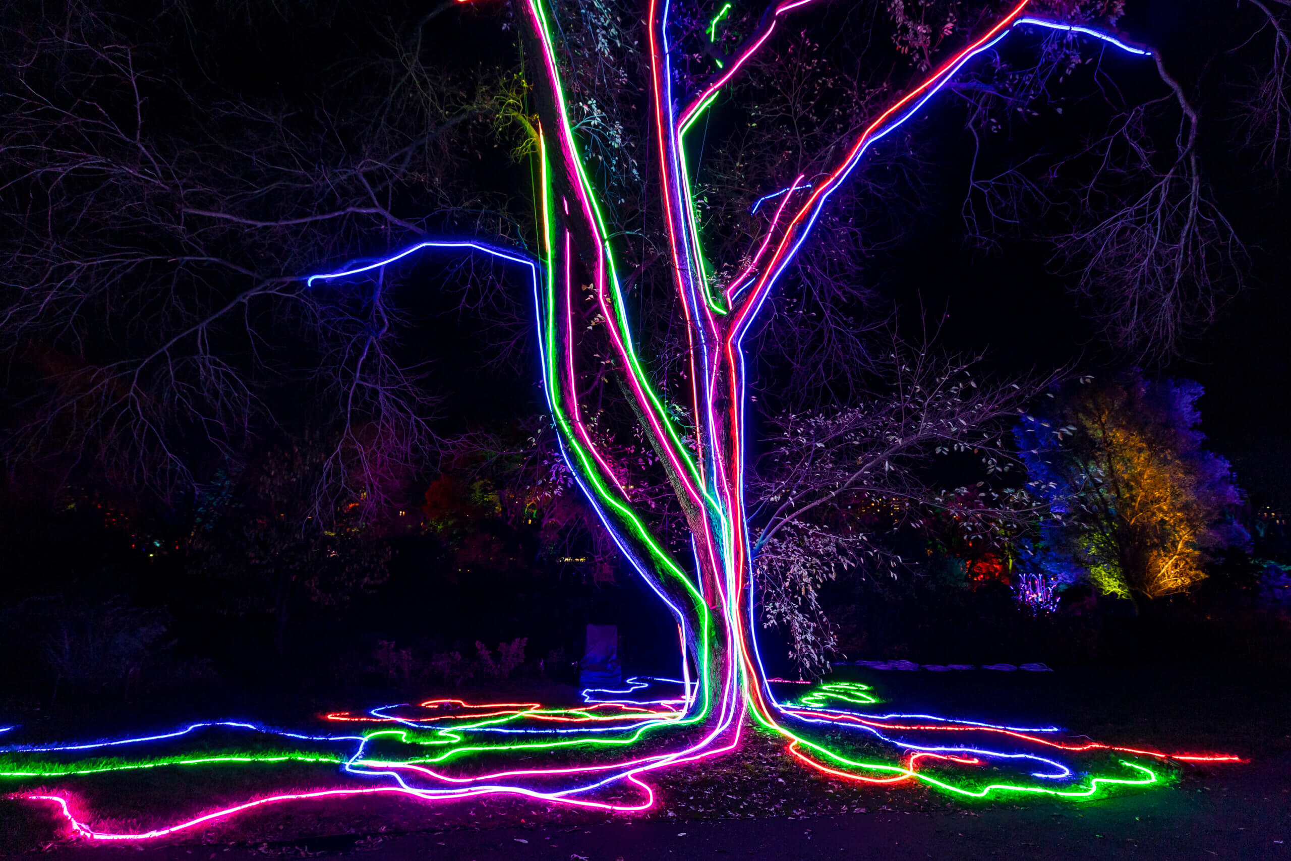 Here are some holiday activities in New York City that you won't want to miss 4