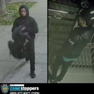 suspects in bronx hit and run