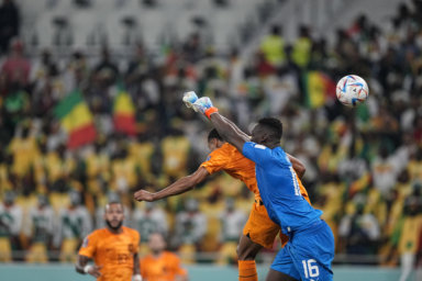 Netherlands Senegal World Cup