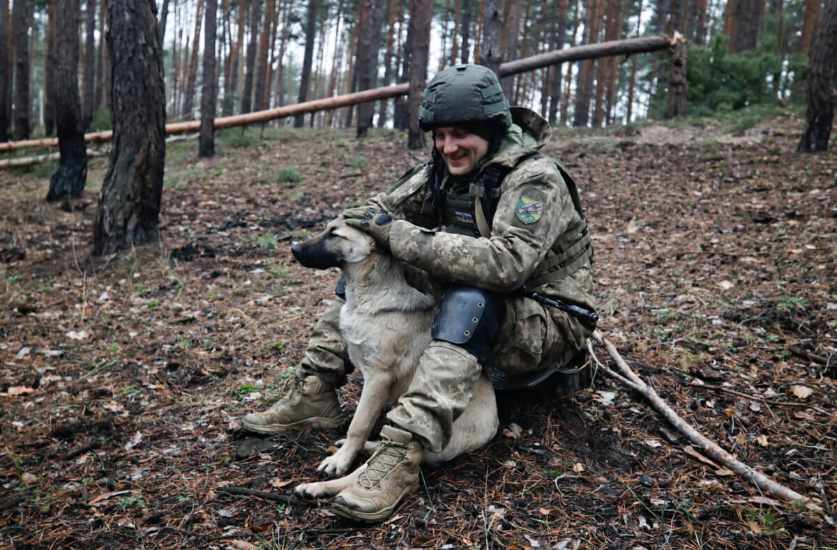 Pockets of shelling across Ukraine as wintry warfare looms 2 Shelling continues in Ukraine
