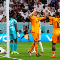 Netherlands Qatar World Cup