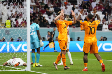 Netherlands Qatar World Cup