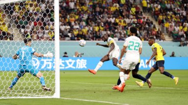 Kalidou Koulibaly Senegal Ecuador World Cup