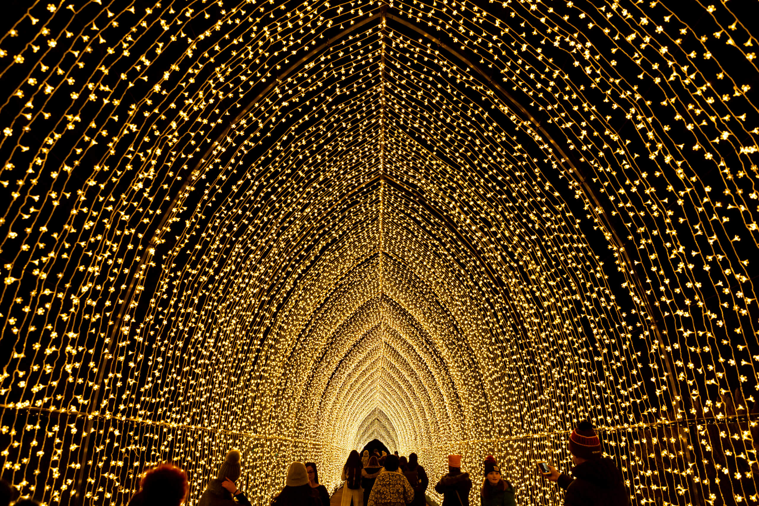 New Yorkers visiting Lightscape during the holiday season