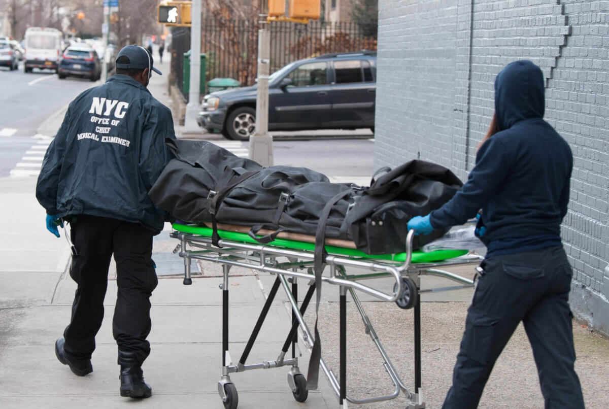 Bronx homicide