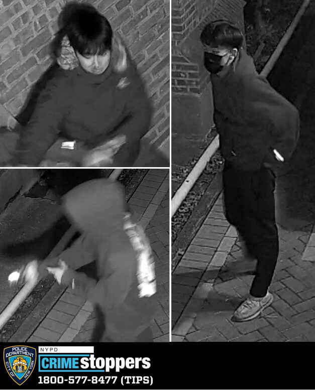 Suspects in violent Queens robbery