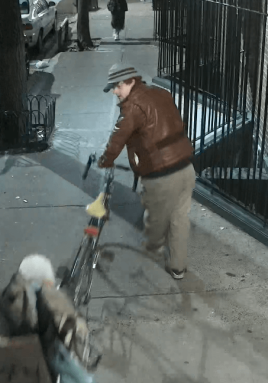 Central Park hate crime suspect
