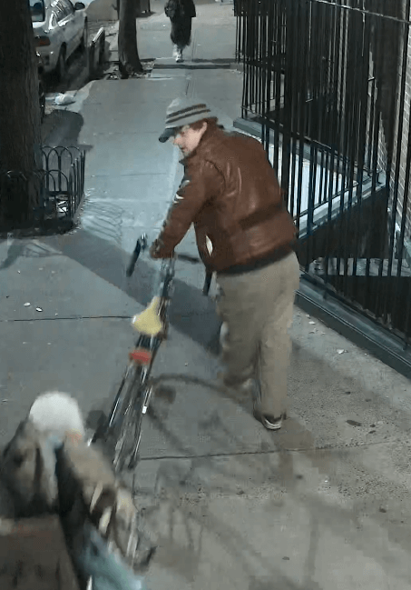 Central Park hate crime suspect