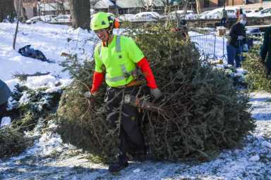 DA5_5803_010822-Mulchfest-Prospect-1200×800-1