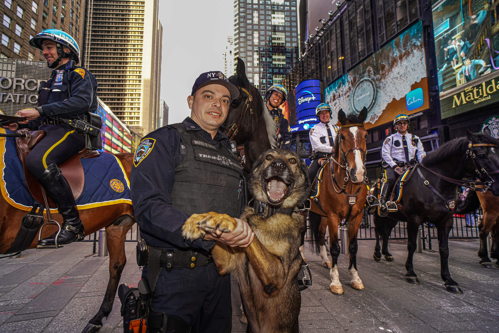 NYC's finest and furriest have their day in Police Foundation 2023