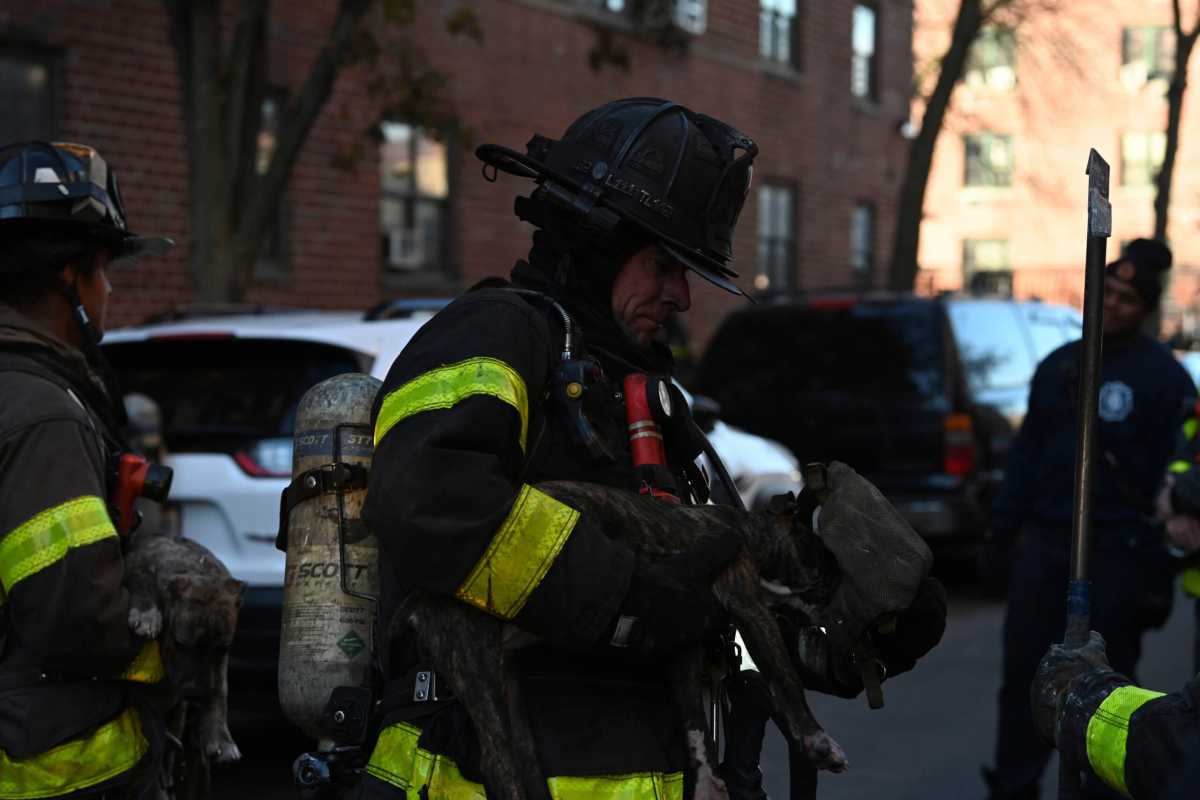 DSC_0592