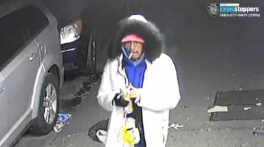 Queens shooting suspect