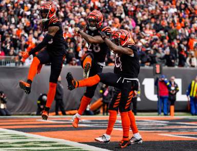 The Bengals celebrate a touchdown