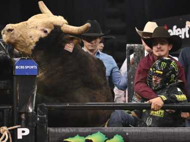 Professional Bull Riding MSG 2023
