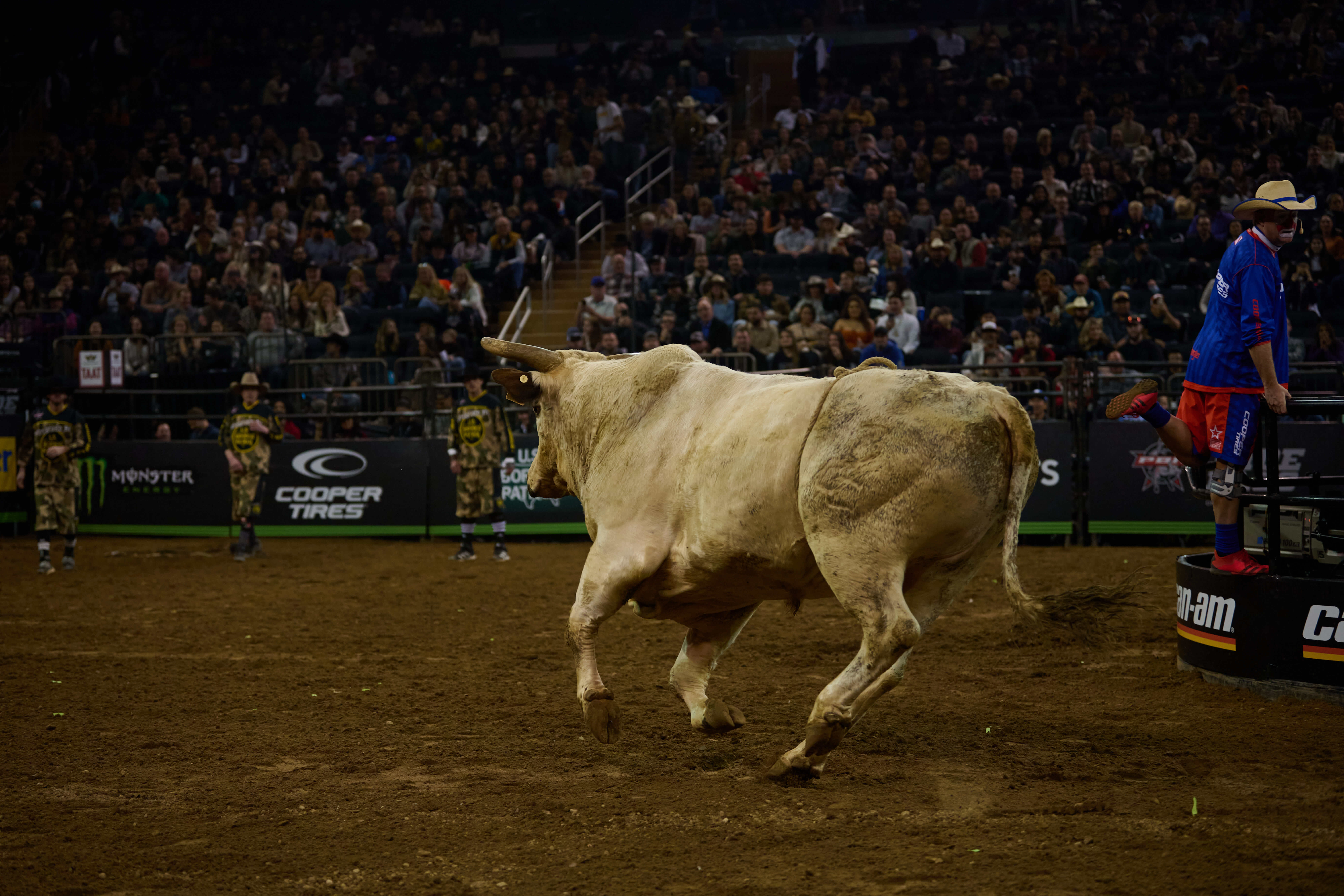 Professional Bull Riding MSG 2023