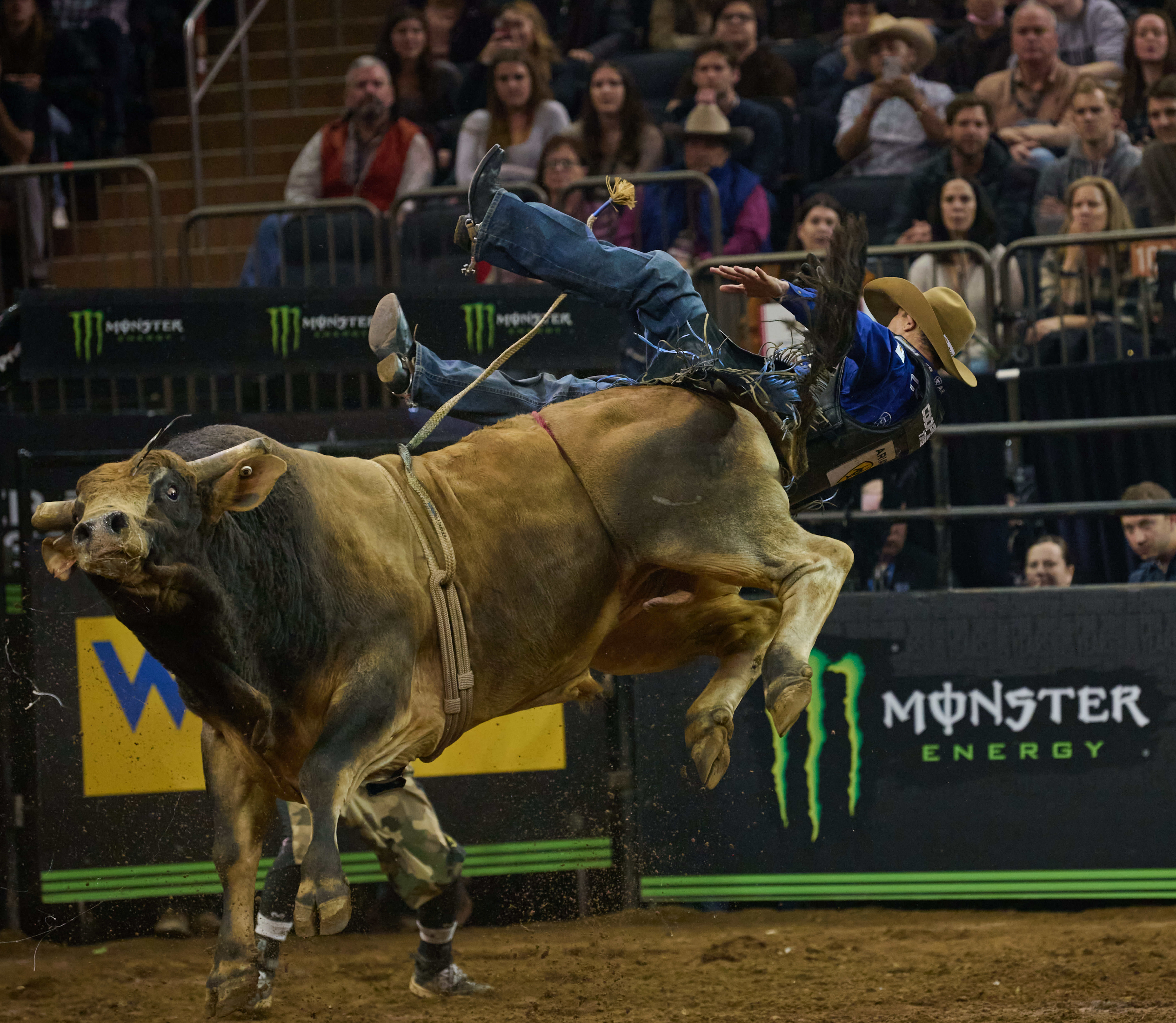 Professional Bull Riding MSG 2023