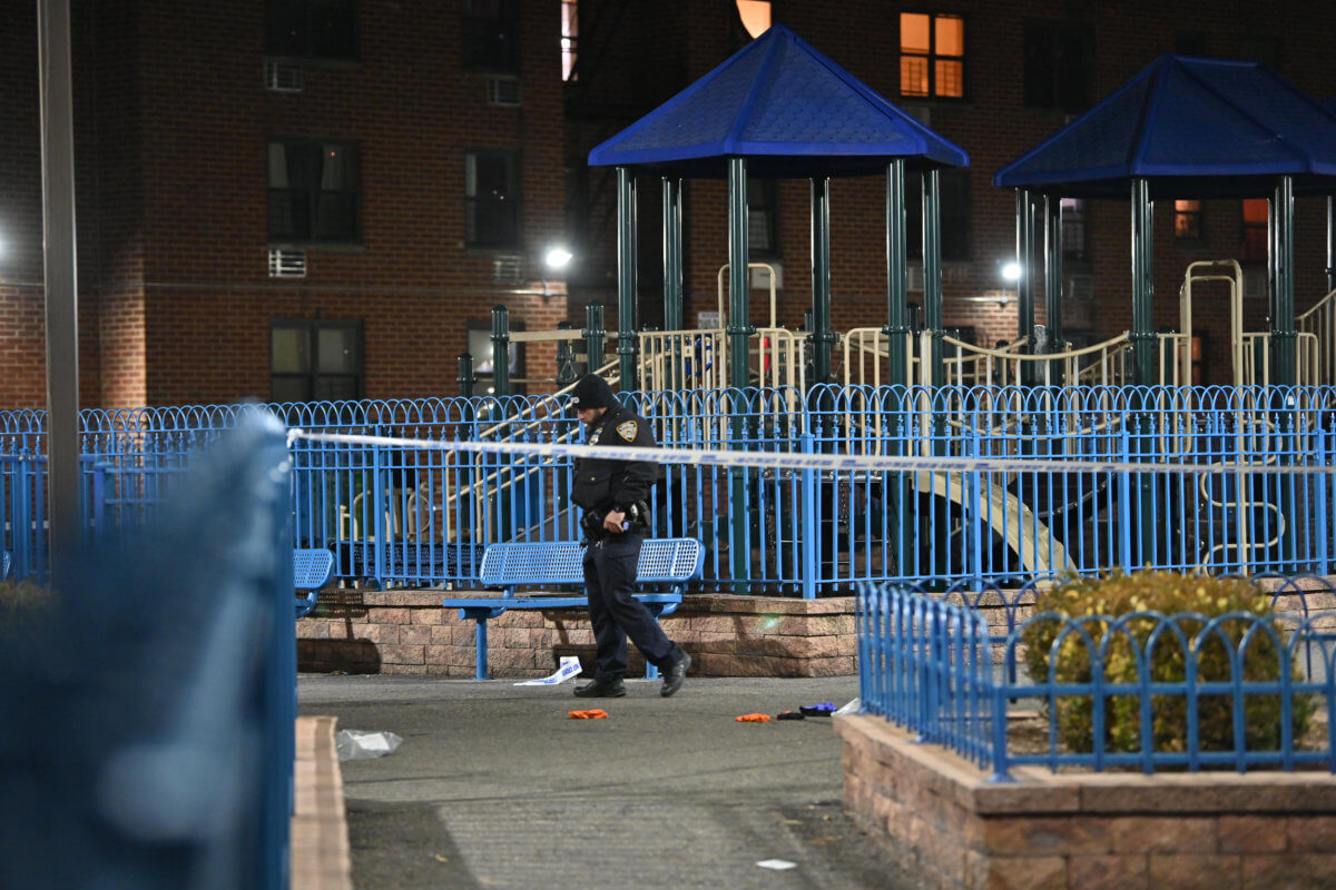 Brooklyn man shot at playground