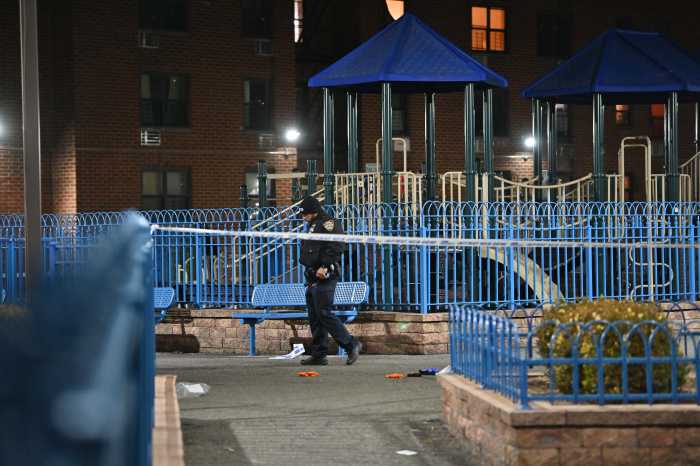 Brooklyn man shot at playground