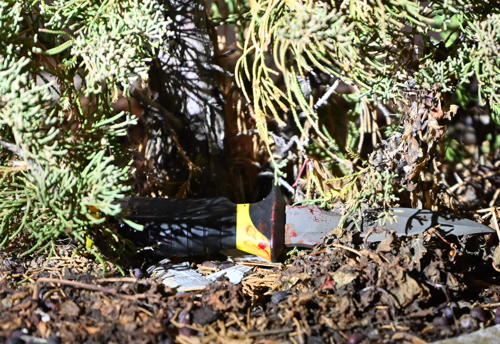 Man cuffed for fatally stabbing victim on Brooklyn street 3 knife was stashed in a flower pot after a fatal stabbing of a 30 year old man