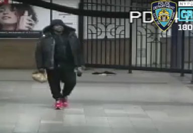 Manhattan rape attempt suspect