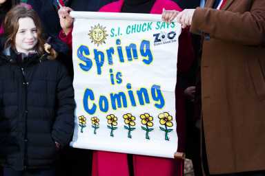 Groundhog Day on Staten Island
