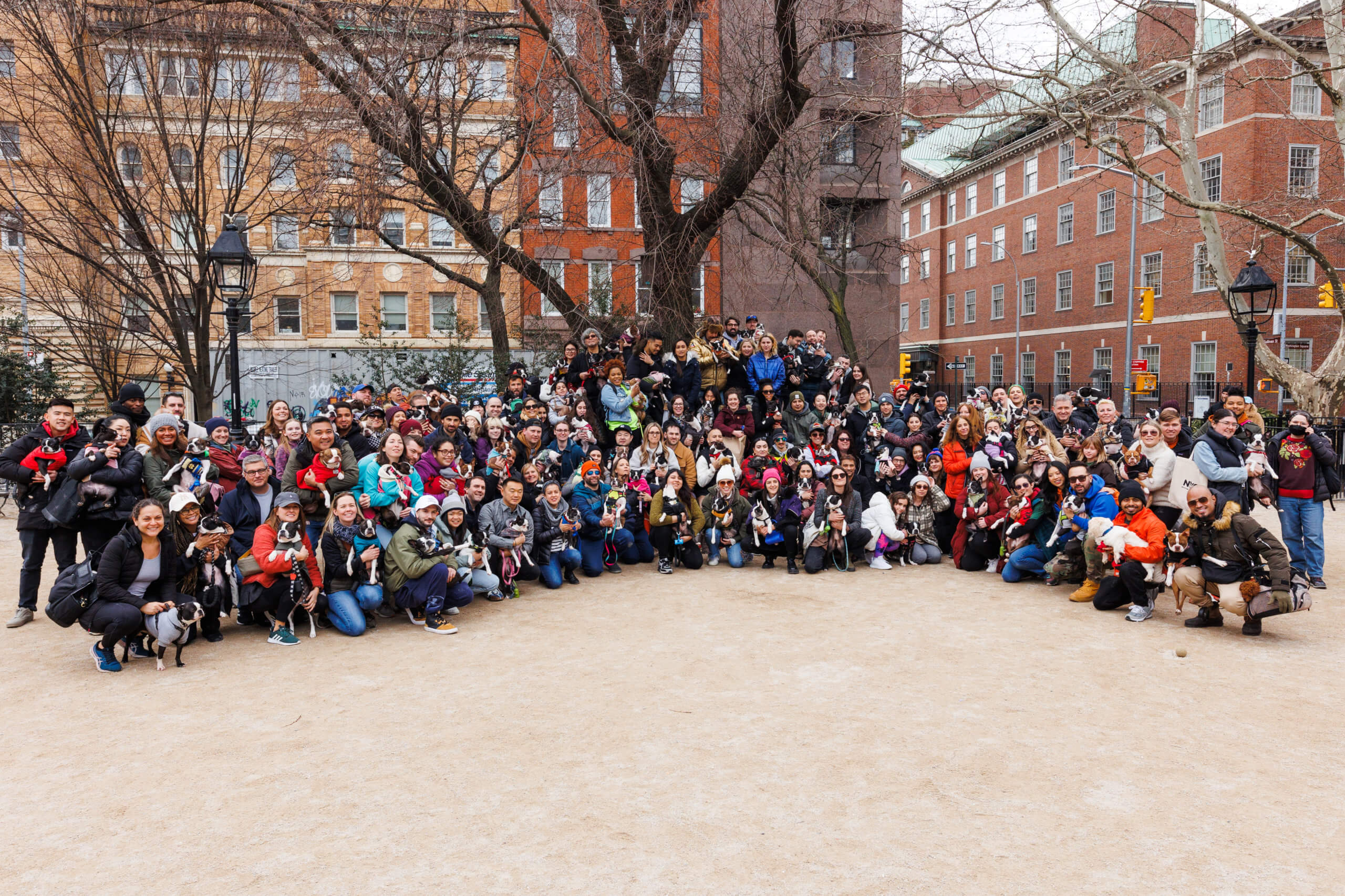 A group shot of people and dogs who attended National Boston Terrier Day in Washington Square Park