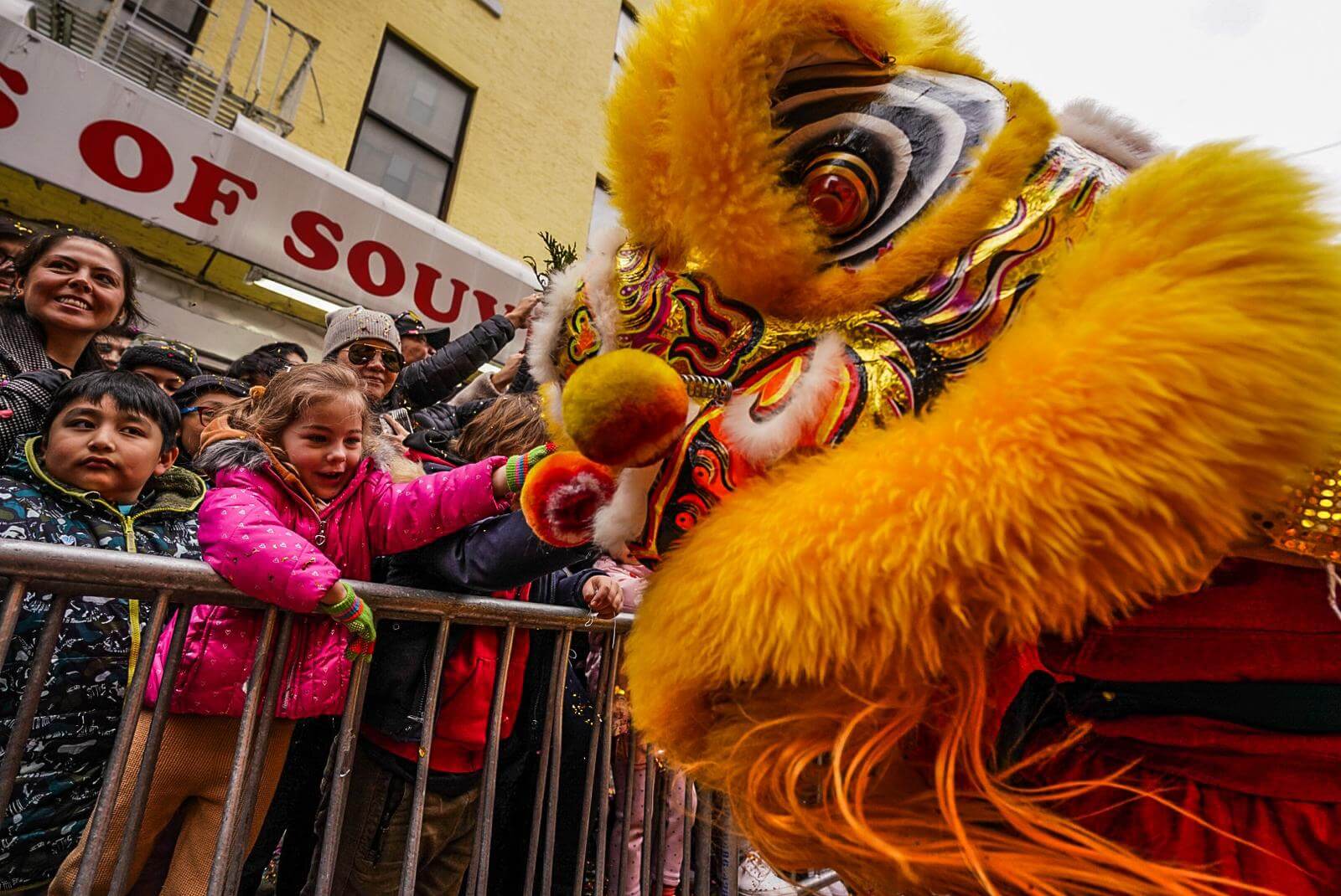 Views From Chinatown's 25th Annual Lunar New Year NYC Diabolical Rabbit