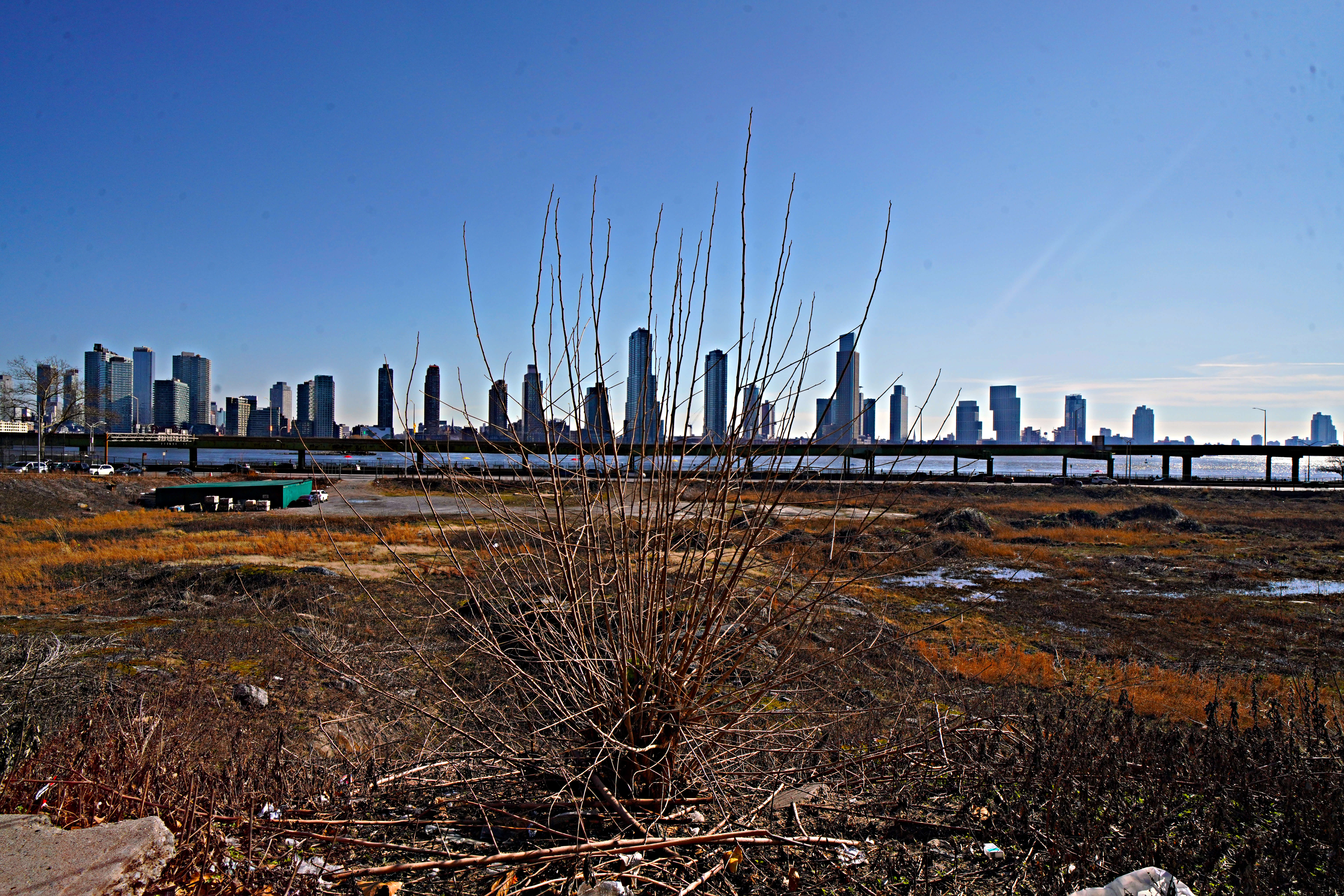 Wild Card! Manhattanites split on Midtown East casino proposal 6